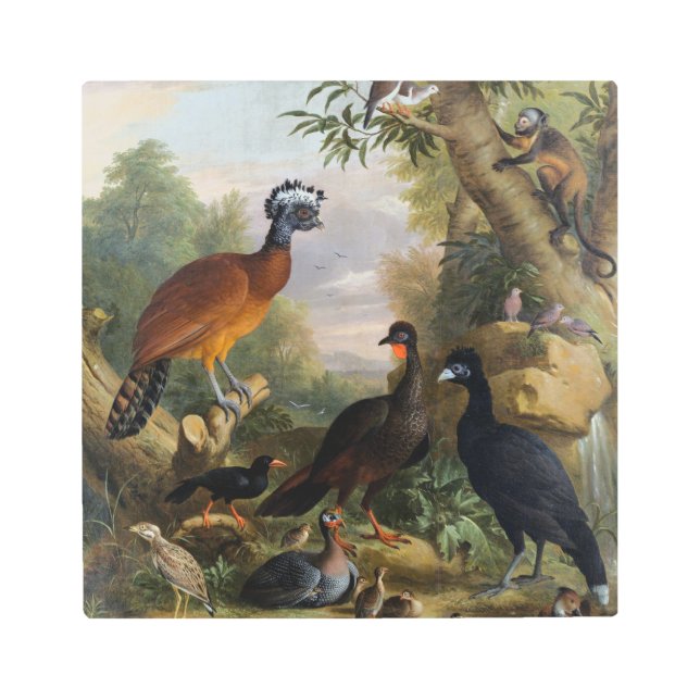 ヴィンテージ美しい鳥の風景 メタルプリント (正面)