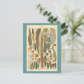 ヴィンテージ羽毛 ポストカード (スタンド正面)