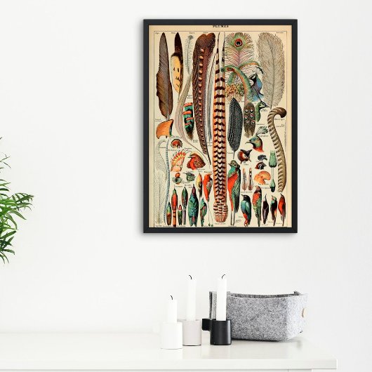 ヴィンテージ羽 |プラム1910の種類フランスの ポスター