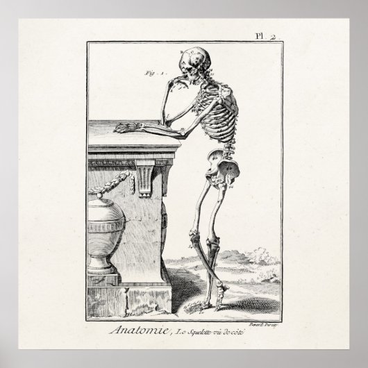 ヴィンテージ考えの骨組み解剖学 ポスター (正面)