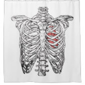 ヴィンテージ胸部とハート解剖学ハロウィーン シャワーカーテン (正面)