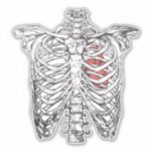 ヴィンテージ胸部とハート解剖学ハロウィーン シール (正面)