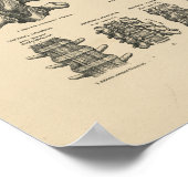 ヴィンテージ脊髄骨1880プリント ポスター (角)