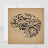 ヴィンテージ脳図アンティーク医学解剖学術 シーズンカード (正面)