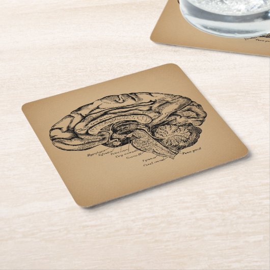 ヴィンテージ脳図アンティーク医学解剖学術 スクエアペーパーコースター (アングル)