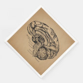 ヴィンテージ脳図アンティーク医療解剖学 (コーナー)