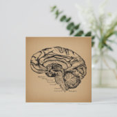 ヴィンテージ脳図アンティーク医療解剖学 カード (スタンド正面)
