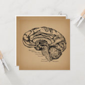 ヴィンテージ脳図アンティーク医療解剖学 カード (正面/裏面インサイチュ)