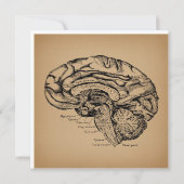 ヴィンテージ脳図アンティーク医療解剖学 カード (裏面)