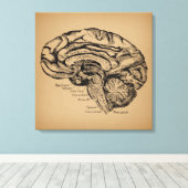 ヴィンテージ脳図アンティーク医療解剖学 キャンバスプリント (インサイチュ (ウッドフロア))