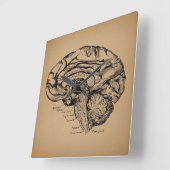 ヴィンテージ脳図アンティーク医療解剖学 スクエア壁時計 (傾斜)