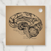 ヴィンテージ脳図アンティーク医療解剖学 フェイバータグ (裏面)