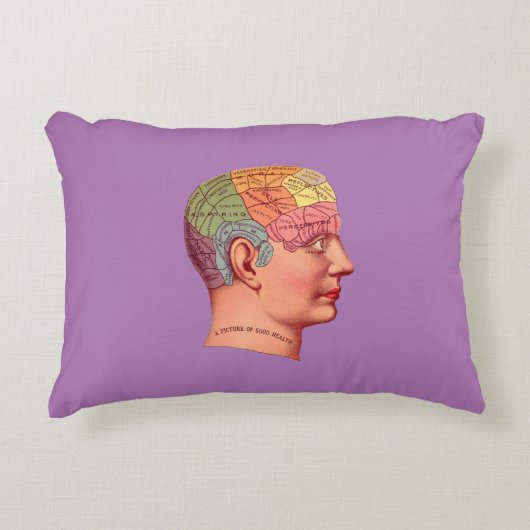 ヴィンテージ脳学頭脳図 アクセントクッション (正面)