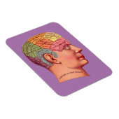 ヴィンテージ脳学頭脳図 マグネット (右側)