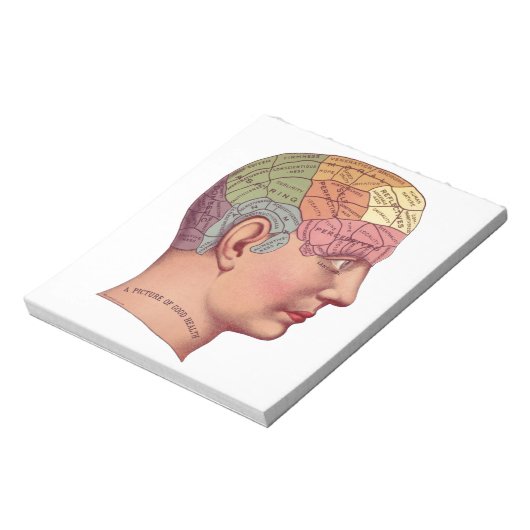 ヴィンテージ脳機能イラストレーション ノートパッド (回転)