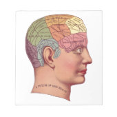 ヴィンテージ脳機能イラストレーション ノートパッド (正面)