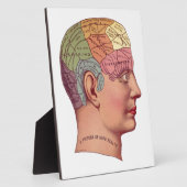 ヴィンテージ脳機能イラストレーション フォトプラーク (側面)