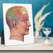 ヴィンテージ脳機能イラストレーション フォトプラーク (側面)