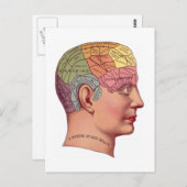ヴィンテージ脳機能イラストレーション ポストカード (正面/裏面)