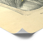 ヴィンテージ腕と肩の泡立て解剖学 ポスター (角)