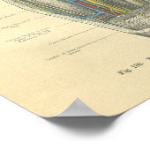 ヴィンテージ膝と脚のフロース解剖学 ポスター (角)