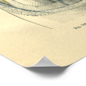 ヴィンテージ膝と脚のフロース解剖学 ポスター (角)