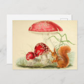 ヴィンテージ自然イラストレーション – リス、キノコ ポストカード (正面/裏面)