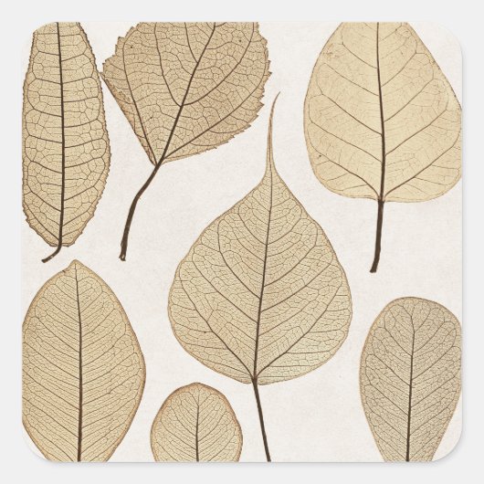 ヴィンテージ自然主義植物学スケッチ | 離れ1858 スクエアシール (正面)