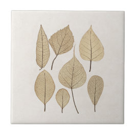 ヴィンテージ自然主義植物学スケッチ | 離れ1858 タイル