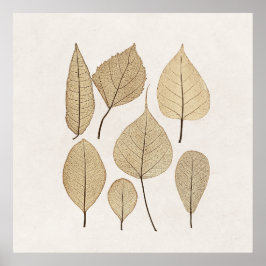 ヴィンテージ自然主義植物学スケッチ | 離れ1858 ポスター