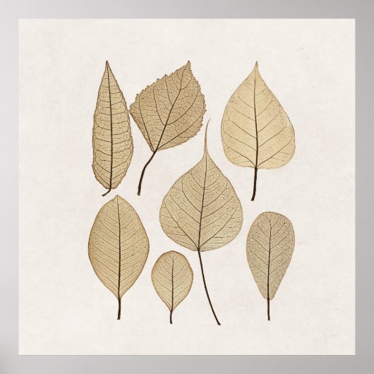 ヴィンテージ自然主義植物学スケッチ | 離れ1858 ポスター (正面)