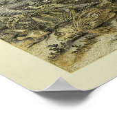 ヴィンテージ自然史魚イラストレーションアートプリン ポスター (角)