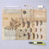 ヴィンテージ自然壊死組織 薄葉紙 (クラフト)