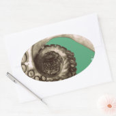 ヴィンテージ航海ののタコ触手 楕円形シール (封筒)