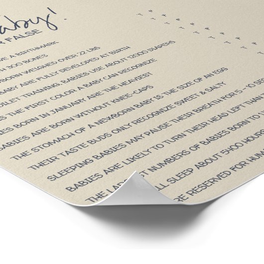 ヴィンテージ航海のの真または偽の赤ちゃんシャワーゲーム ポスター (角)