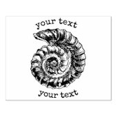 ヴィンテージ航海のスパイラルシーカスタムシェル ラバースタンプ (インプリント)