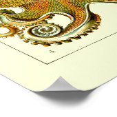 ヴィンテージ航海のタコbyエルンストヘイケル ポスター (角)