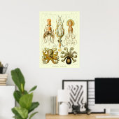 ヴィンテージ航海のタコbyエルンストヘイケル ポスター (ホームオフィス)