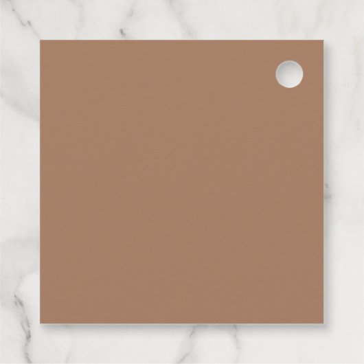 ヴィンテージ航空機バイプレーンボーイの誕生日メッセージカード フェイバータグ (裏面)