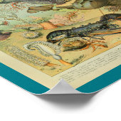 ヴィンテージ色のシーライフの海景のプリント ポスター (角)