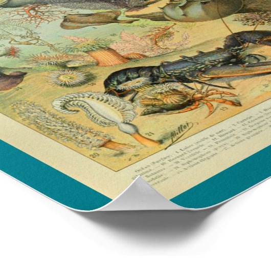 ヴィンテージ色のシーライフの海景のプリント ポスター (角)