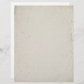 ヴィンテージ色空白のあせた葉本のレターヘッド (正面/裏面)