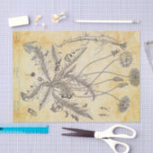 ヴィンテージ花と根の切り離し 薄葉紙 (クラフト)