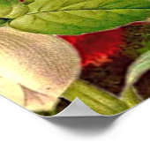 ヴィンテージ花と蝶バリューポスター紙 ポスター (角)