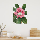 ヴィンテージ花イラストレーション ポスター (キッチン)