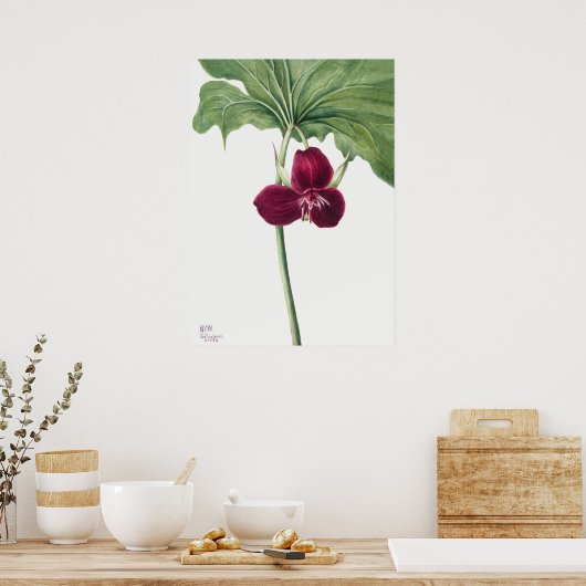 ヴィンテージ花イラストレーション ポスター (キッチン)