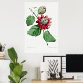 ヴィンテージ花イラストレーション ポスター (ホームオフィス)