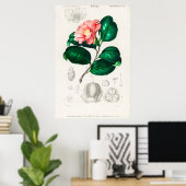 ヴィンテージ花イラストレーション ポスター (ホームオフィス)