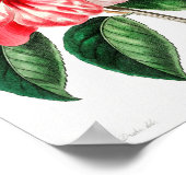 ヴィンテージ花イラストレーション ポスター (角)