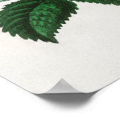 ヴィンテージ花イラストレーション ポスター (角)